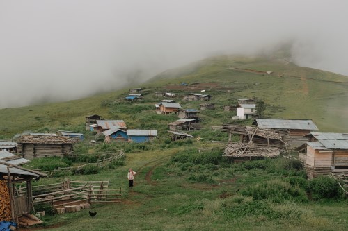 Artvin