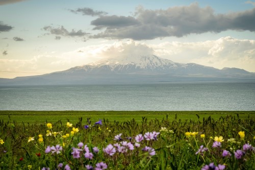 Bitlis