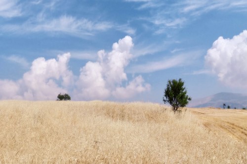 Kahramanmaraş