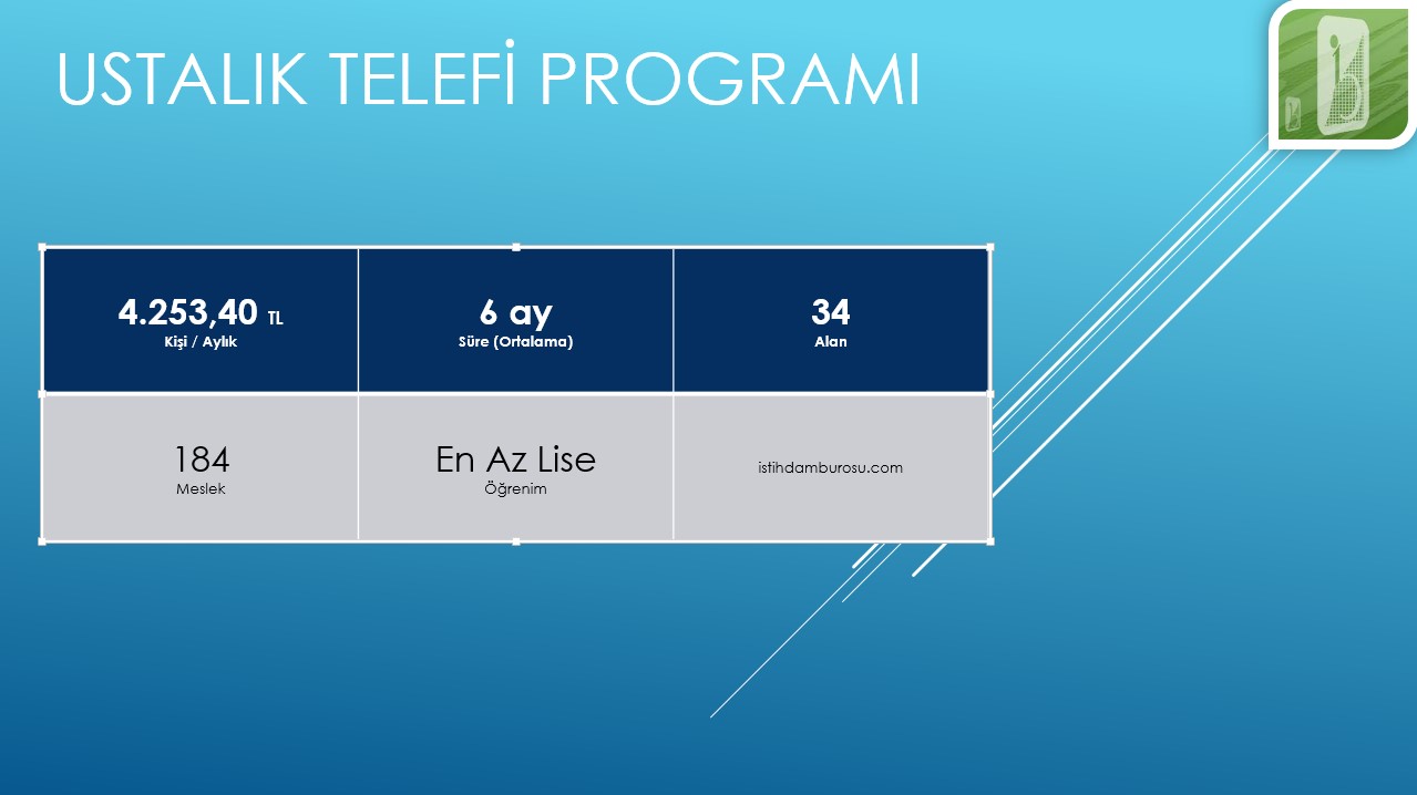 Ustalık Telafi Destek Programı
