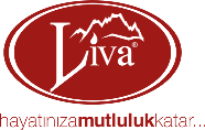 Gözat butonuna tıklayarak bir logo yükleyiniz.