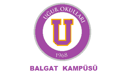 Gözat butonuna tıklayarak bir logo yükleyiniz.